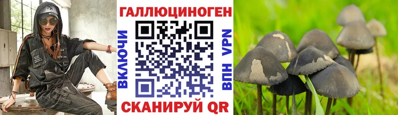 Галлюциногенные грибы GOLDEN TEACHER  где продают наркотики  KRAKEN ССЫЛКА  Руза 